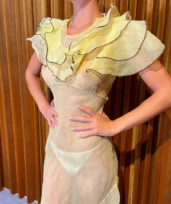 Annie's Archive 1930s Soft Yellow Organza Dress